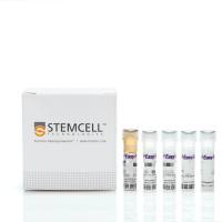 EasySep™小鼠CD138正选试剂盒