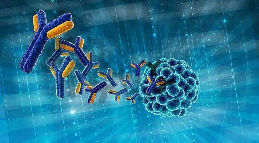 科研干货｜13种蛋白提取方法，赶快收藏手慢无！