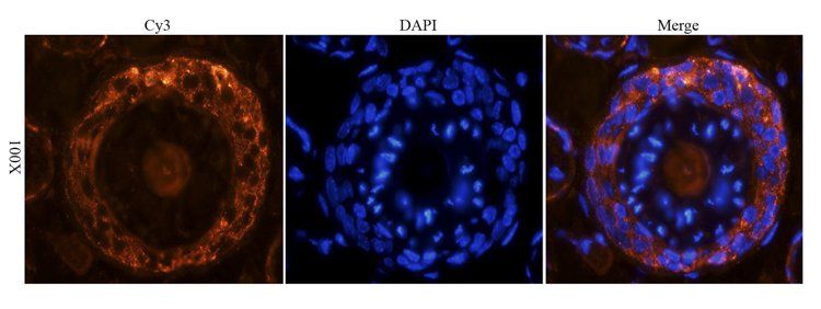 产品细节图片15