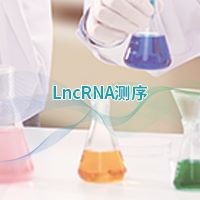 LncRNA测序