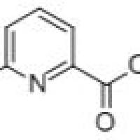 69142-64-9/	 6-基吡啶-2-羧酸乙酯 ,	98%
