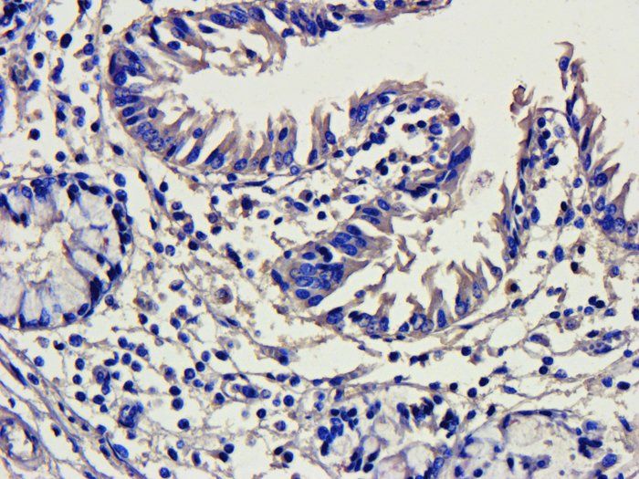 产品细节图片16