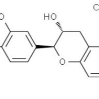 18829-70-4/(-)-儿茶素水合物
