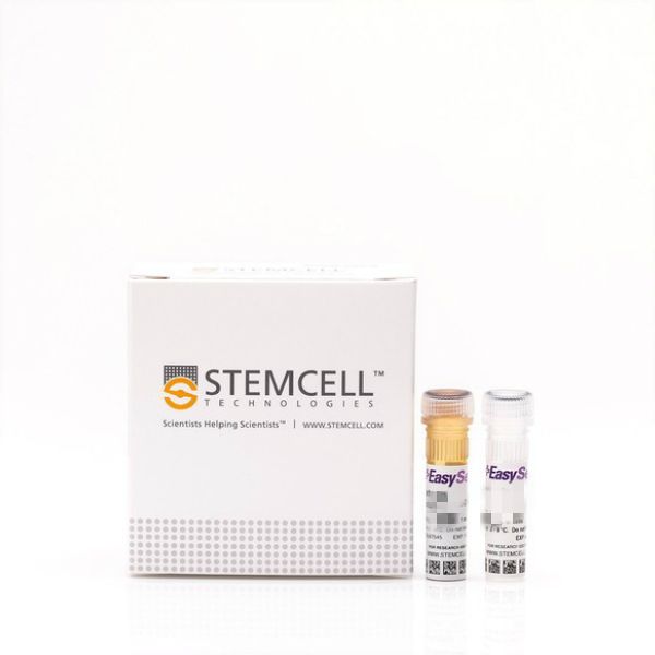 EasySep™ 大鼠T细胞分选试剂盒