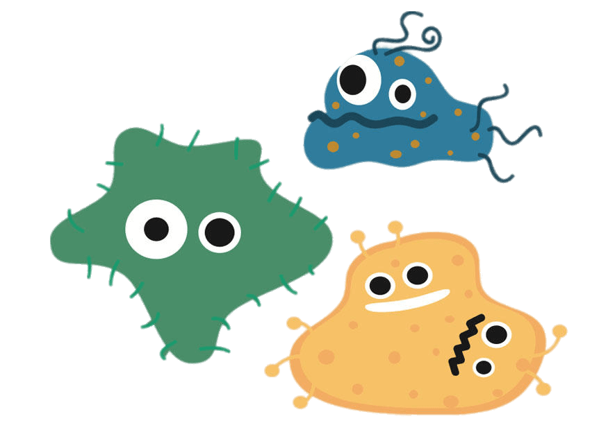 PCR moment：专属于微生物的浪漫派对