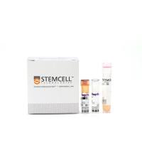 EasySep™小鼠MDSC (CD11b+Gr1+) 分选试剂盒