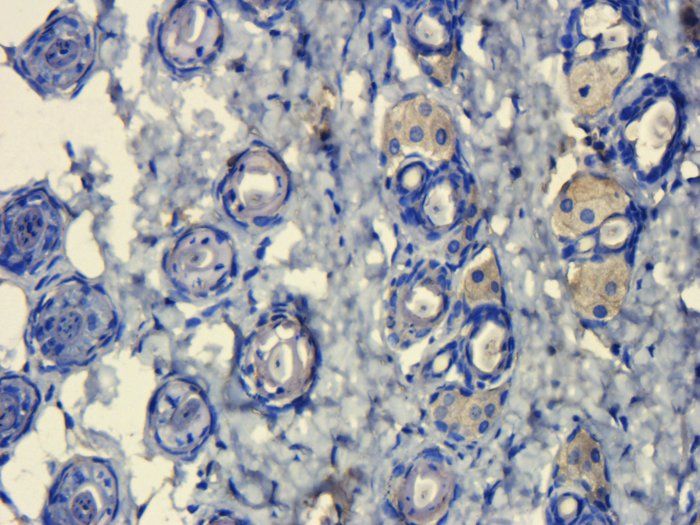 产品细节图片11