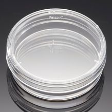 细胞培养皿 35×10mm