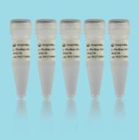 Rabbit--免疫组化试剂盒