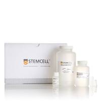 PCR&凝胶去除试剂盒