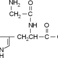 2489-13-6.Gly-His , 98%