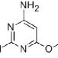 116436-03-4/	 2,4-二氨基-6-乙氧基嘧啶,	95%