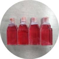 人肝癌细胞/免疫荧光鉴定/镜像绮点（Cellverse）