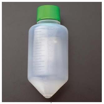 WHEATON 大体积锥底离心管