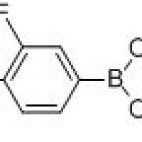 939968-60-2/3-FLUORO-4-NITROPHENYLBORONIC ACID, PINACOL ESTER