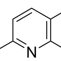 866755-20-6/	 3-溴-2,6-二氯吡啶,	98%