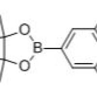 408492-27-3/	 2,6-二氯吡啶-4-硼酸频哪醇酯 ,	98%
