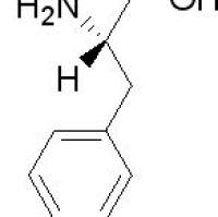 24250-84-8/L-4-溴苯丙氨酸