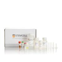 总RNA纯化试剂盒