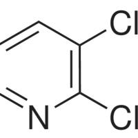 2402-77-9/	 2,3-二氯吡啶,	99%