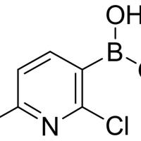 148493-3/4-9	 2,6-二氯-3-吡啶硼酸 ,96%