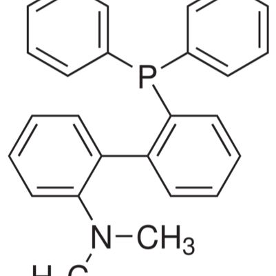240417-00-9. 2 - 二苯基膦-2' - （N组，n -二甲基） - 联,97%