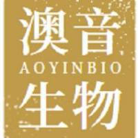 T2 (174 x CEM.T2)人淋巴母细胞