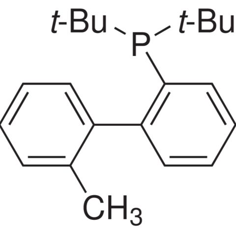 255837-19-5/ 2-(二-叔丁膦)-2'-甲基联,98%