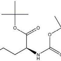 163210-89-7/ (S)-2-(BOC-氨基)-4-丁酸叔丁酯 , ≥95%