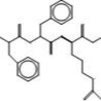 74392-49-7/D-Phe-Phe-Arg Chloromethylketone Trifluoroacetic Acid Salt