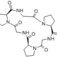 37783-51-0/ CYCLO(-PRO-GLY)3, 97%(HPLC)