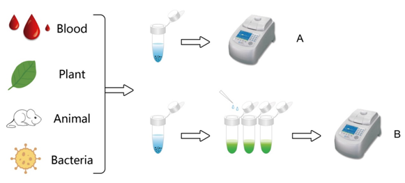 精品推荐|无需gDNA提取的基因分型产品，您值得拥有！