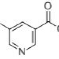59288-38-9/	 5-羟基烟酸乙酯,95%