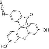18861-78-4/6-异硫酸荧光素