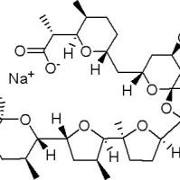 28643-80-3/ 尼日利亚菌素钠 , ≥95%
