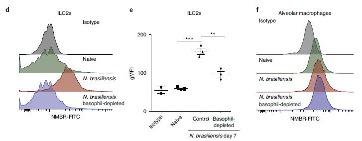 Nature Immunology:神经调节肽B有望治疗炎症性疾病