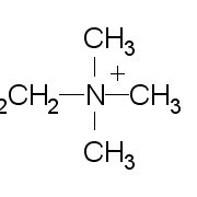 2758-06-7/ 2-溴乙基三甲基溴化铵,99%