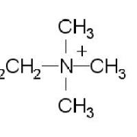 2758-06-7/	 2-溴乙基三甲基溴化铵,99%