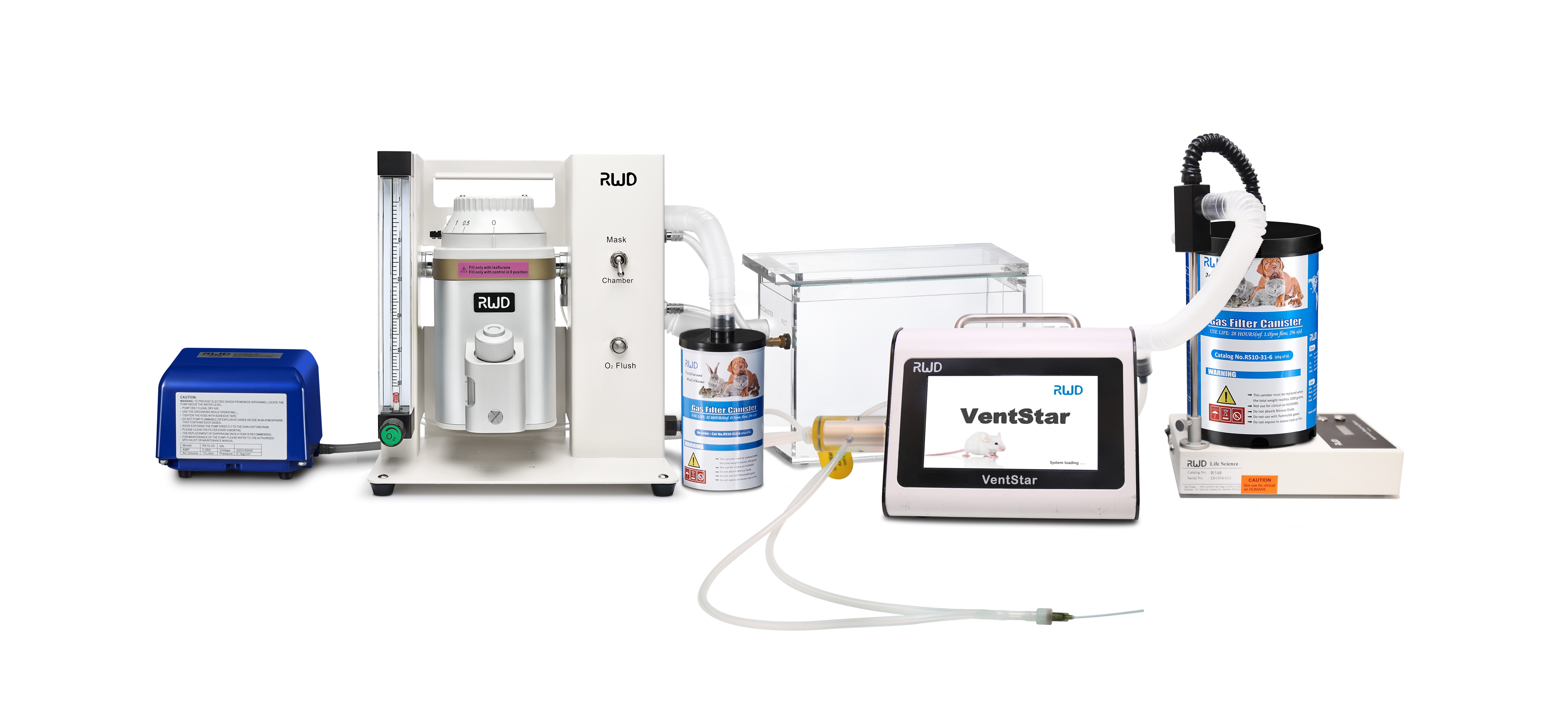 技术干货 | MCAO造模方法及如何提高成功率