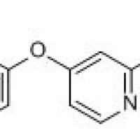 284462-37-9/ 4-(4-氨基氧基)-N-甲基-2-吡啶甲酰胺 , ≥98%(HPLC)