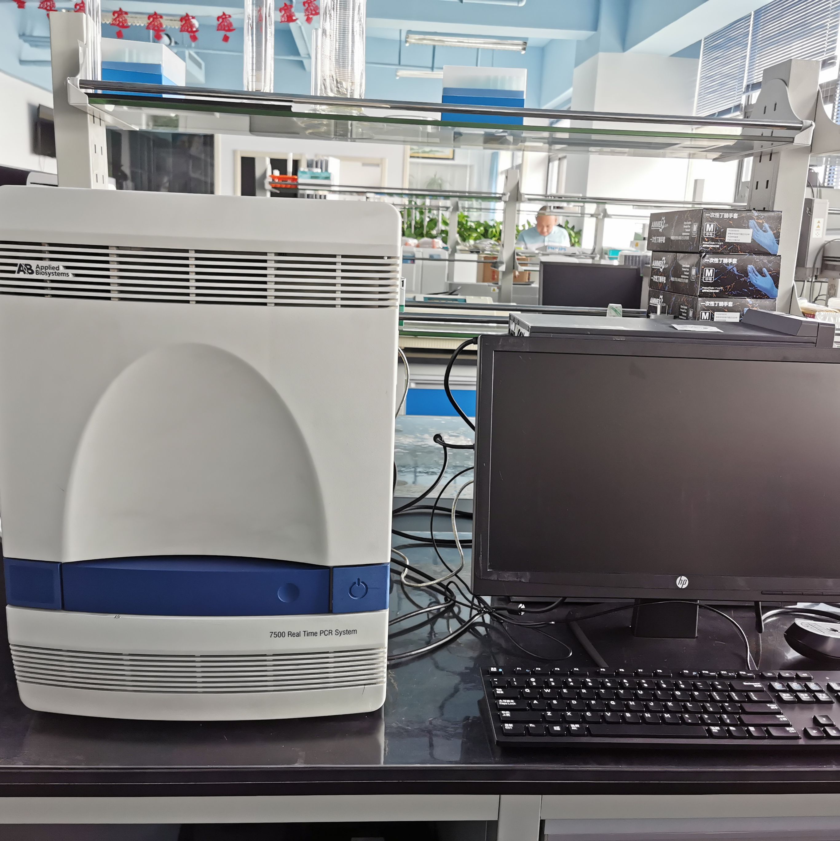 租赁ABI荧光定量PCR仪