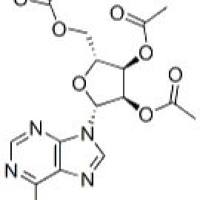 3021-21-4/联二四氮唑二胺盐