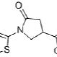 914637-54-0/5-氧代-1-(2-噻唑基)-3-咯烷甲酸