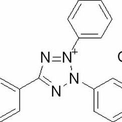 146-68-9/	 碘硝基氯化四氮唑蓝,	AR，98%