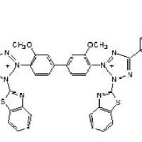 178925-55-8/	 水溶性四氮唑-5 ,	Biological stain，biochemical reagent grade