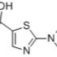 941716-91-2/2-(咯烷-1-基)噻唑-5-羧酸
