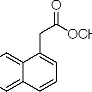 2876-78-0. 1-萘乙酸甲酯 ,98%