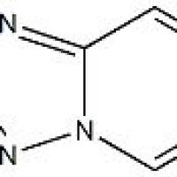 24-87-3/	 吡啶并[1,5-A]四氮唑,	95%