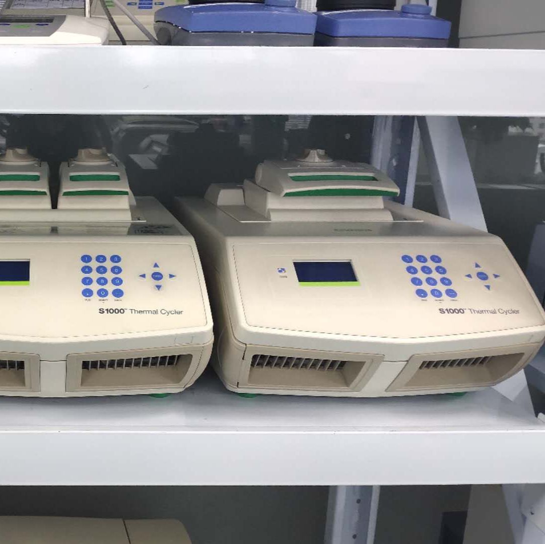 出租Bio-rad伯乐C1000梯度PCR仪