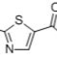 101012-12-8/	 2-氯-噻唑-5-甲酸 ,	98%